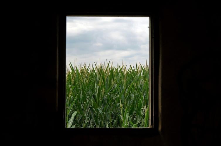 Dakota City resident expresses feelings about solar farm being built on agricultural land